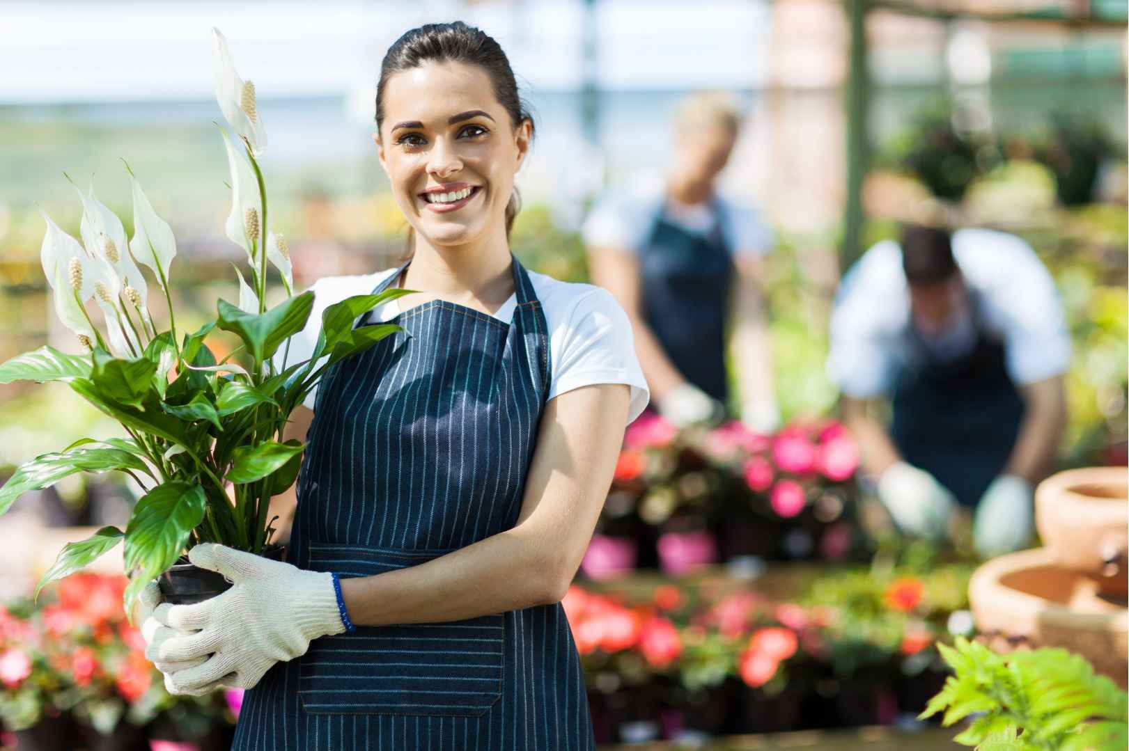 Tips para emprendedores