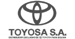 30 Toyosa