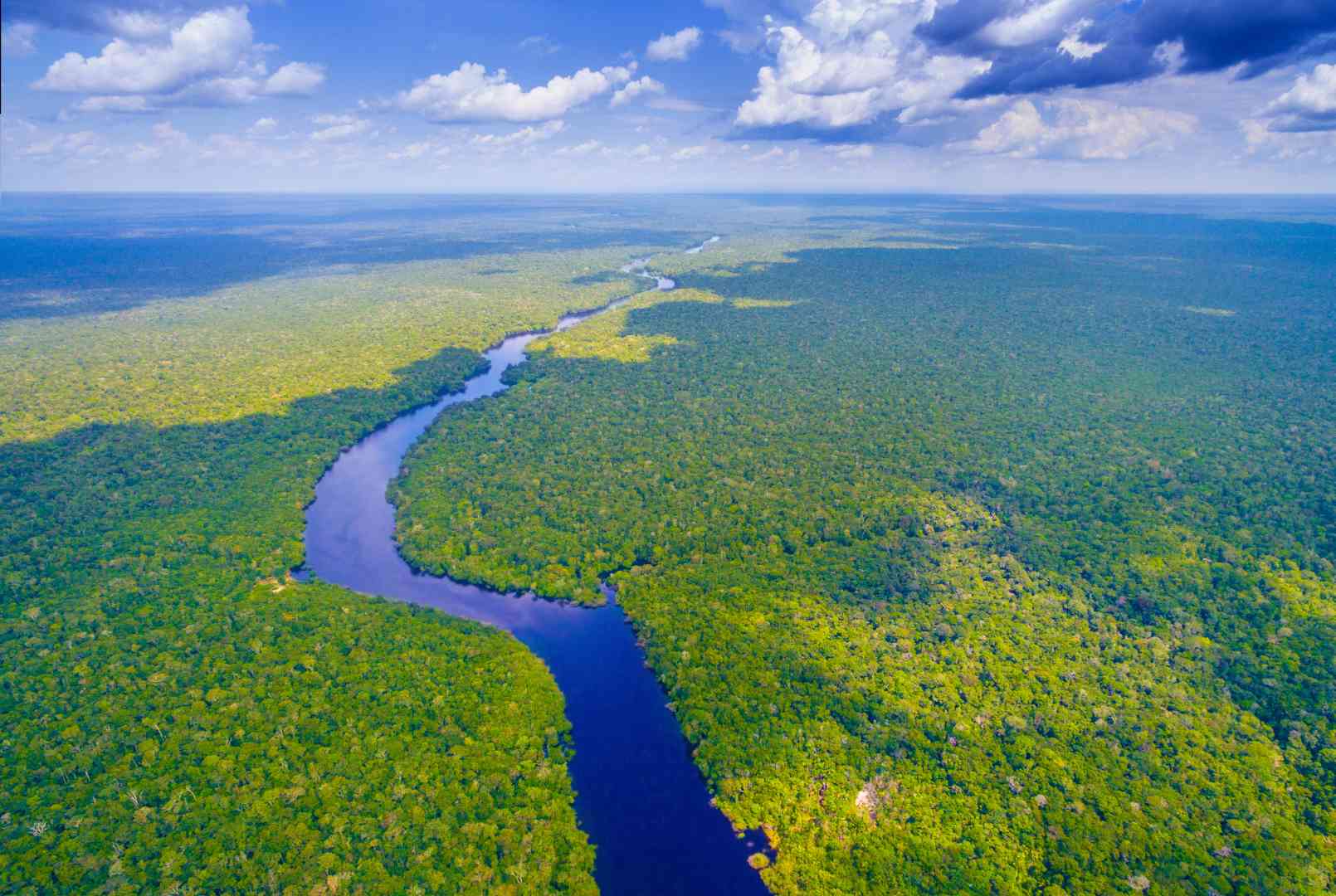 Un llamado a la protección de la Amazonía