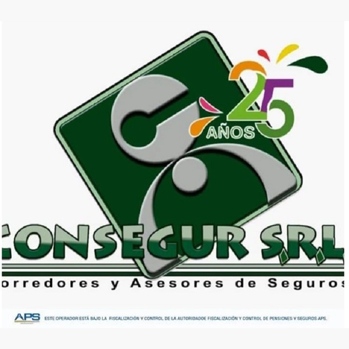 Logo Consegur 25 Anos